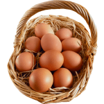Chicken Egg 12pcs
